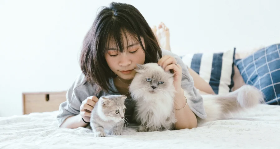 Avoir des animaux de compagnie en colocation